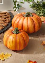 Pompoen gemaakt van weerbestendig polyresin 