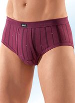 Set van vijf slips, gestreept 