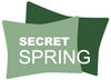 BADERde_DE1Logo_SecretSpring