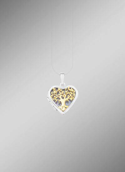 Hartvormig medaillon in tweekleurig om te openen 