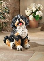 Bewegingsmelder Berner Sennenhond 