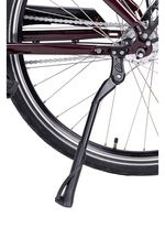 E-bike Comfort Plus 5.0 van Saxonette 