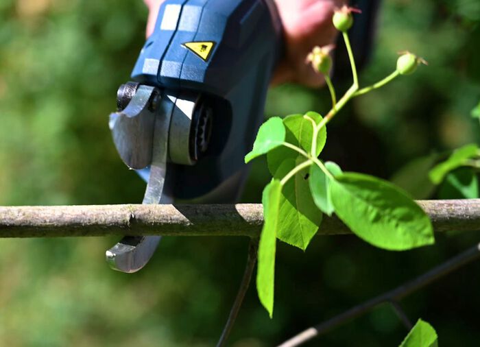 Accu-snoeischaar (accu en oplader niet inbegrepen) 