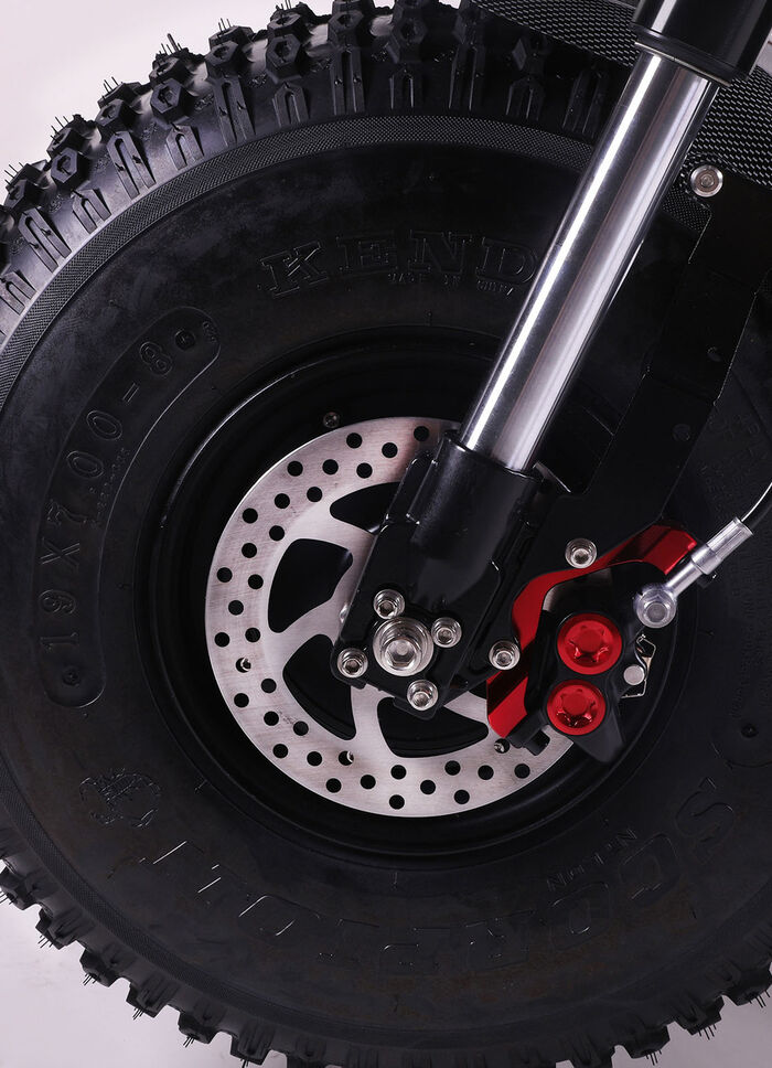 Maximus E-Cruiser - Het milieuvriendelijke alternatief voor de motorfiets 