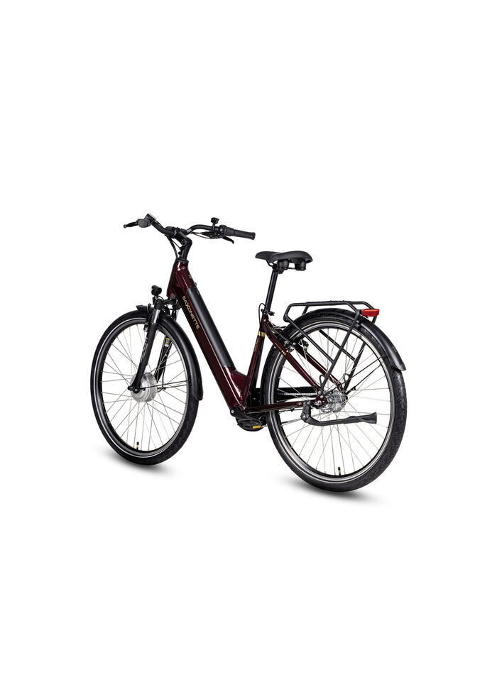 E-bike Comfort Plus 5.0 van Saxonette 