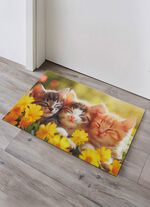 Deurmat met antislip achterkant 