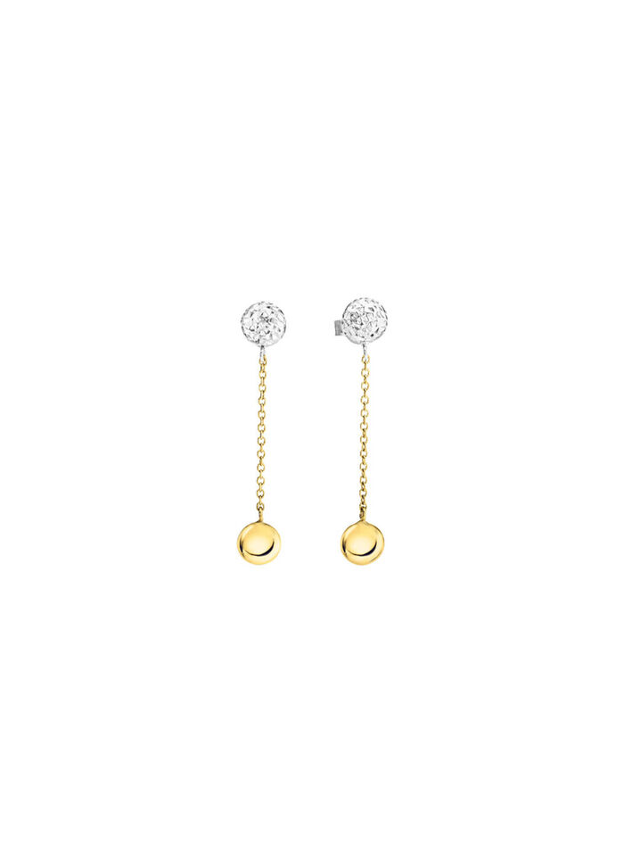 Prachtige oorbellen in twee kleuren 