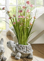 Bosje gras in magnesia pot ROZE-GROEN