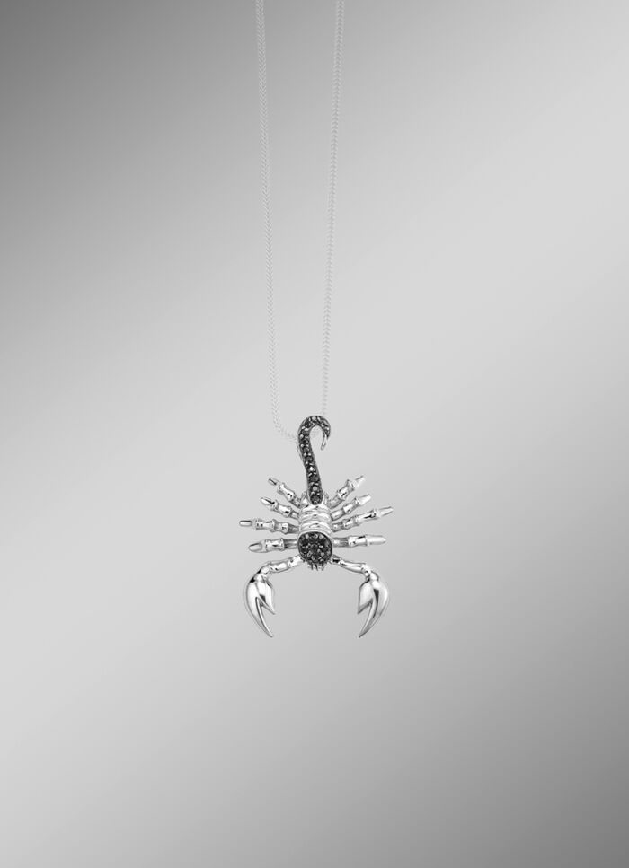 Stijlvolle hanger met schorpioen 
