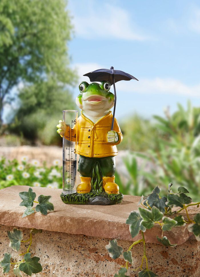 Kikker met regenmeter 