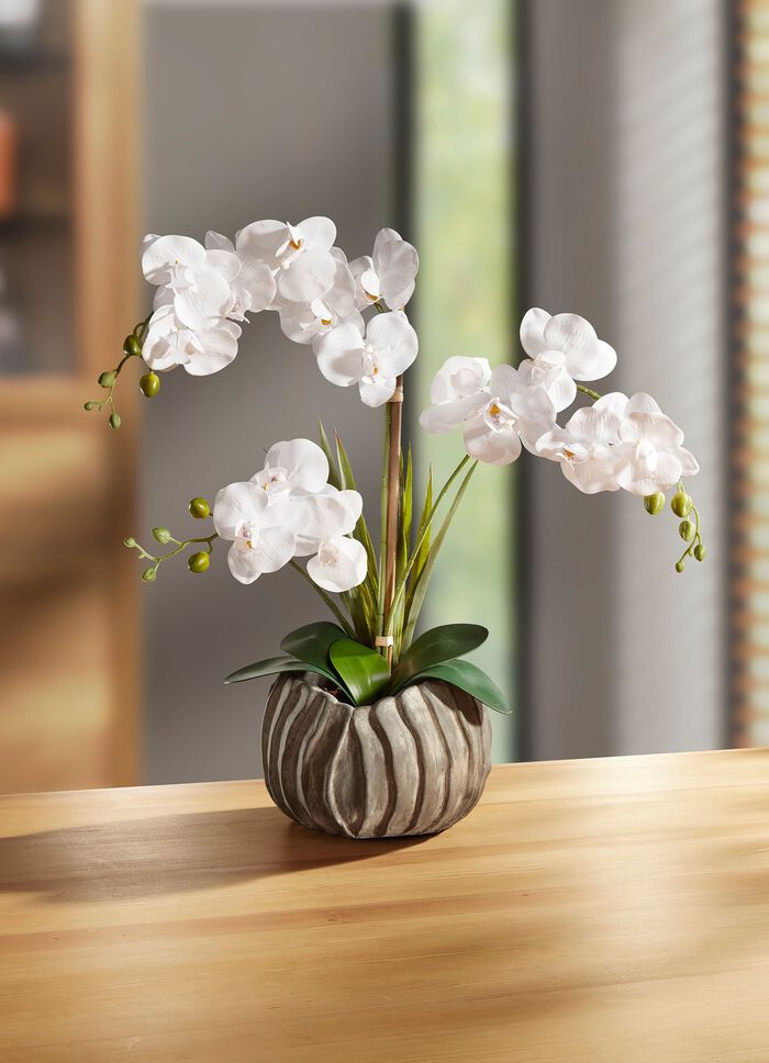 Orchidee in een zilverkleurige pot 