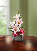 Lelie arrangement in een pot 