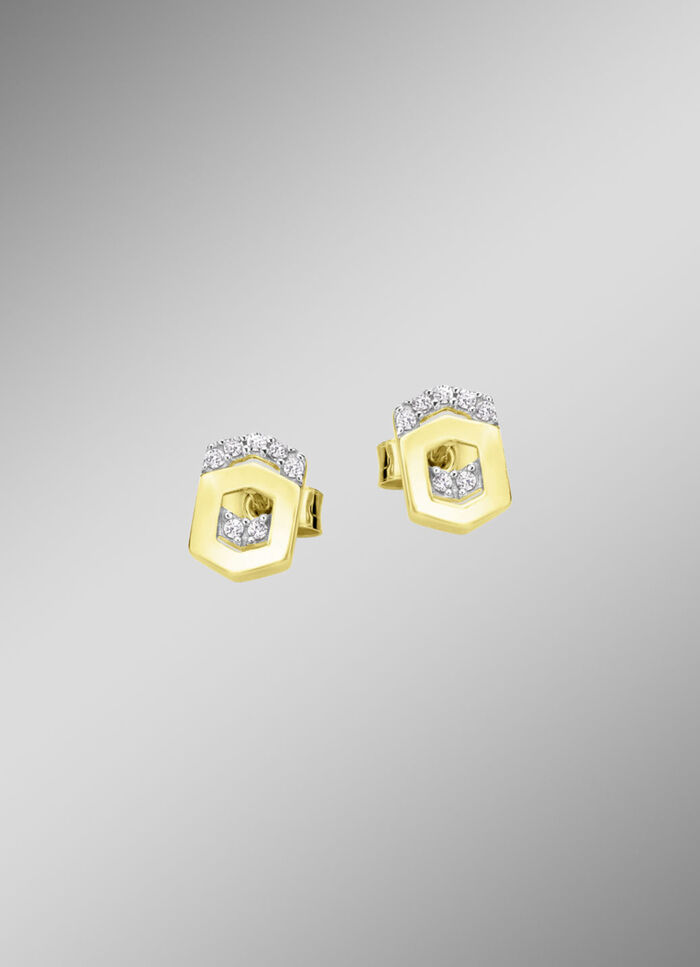 Moderne oorbellen met zirkonia 