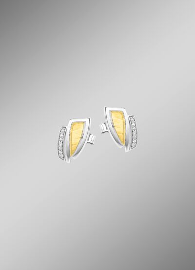 Moderne oorbellen in twee kleuren met zirkonia 