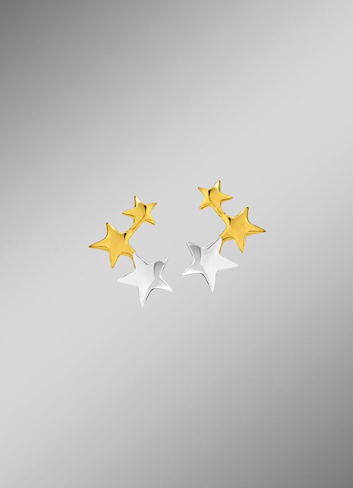 Aantrekkelijke oorknopjes in tweekleurig 