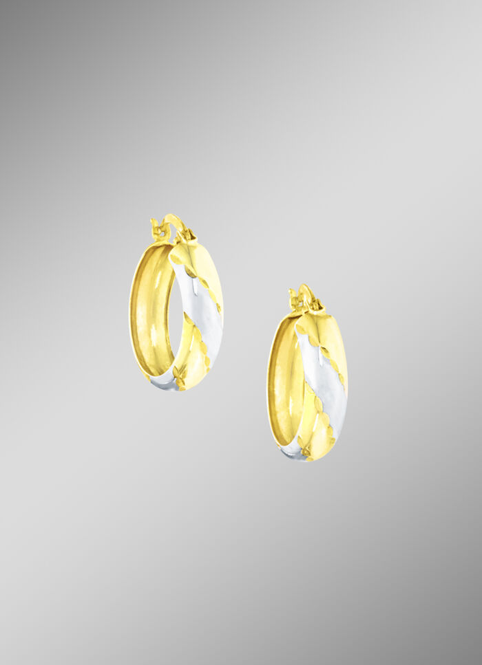 Edele creolen tweekleurig 