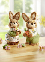 Paar pluchen konijnen, set van 2 