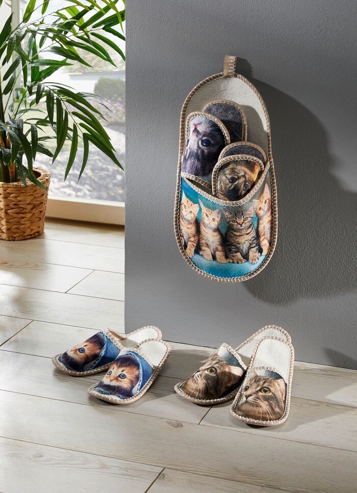 Slipper Opslag Kitten 