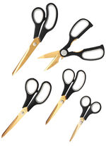 Superscherpe titanium schaarset ZWART