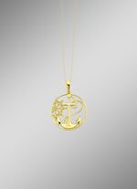 Modern aanhangeranker en stuurwiel 