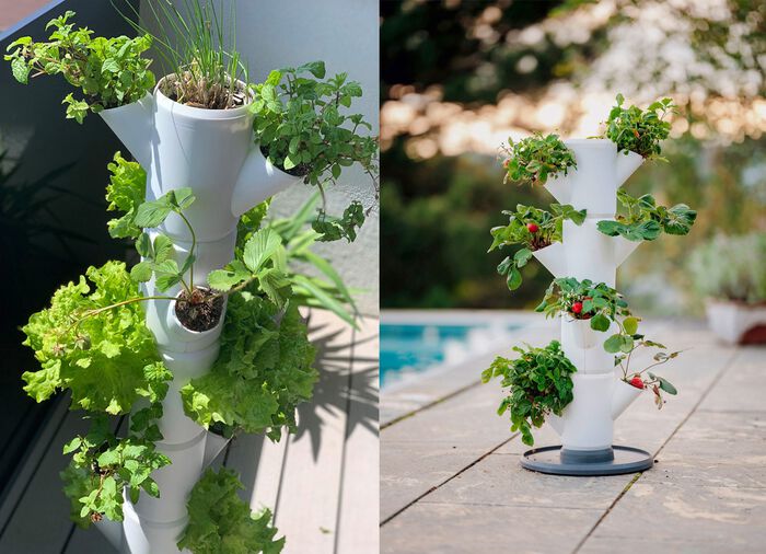 Sissi Aardbeienplantsysteem 