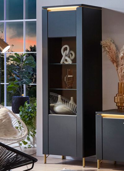 Vitrinekast met LED-verlichting en softclose 