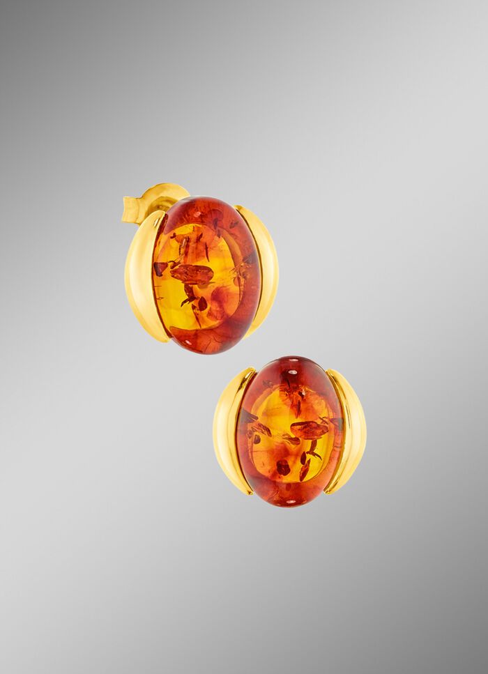 Chique oorbellen met barnsteen 