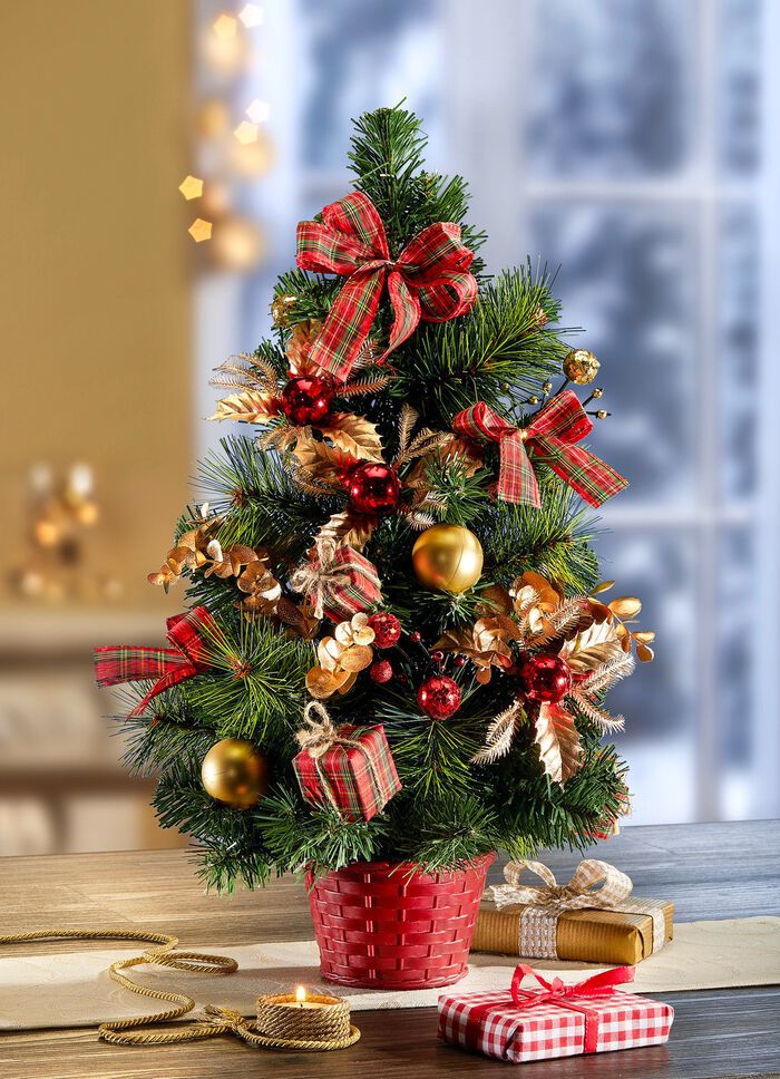 Kerstboom in een pot 