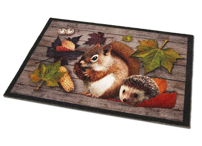 Deurmat met antisliprug 