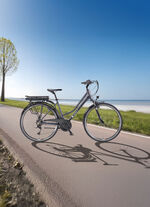 Telefunken XT485 elektrische trekkingfiets ANTHRAZIT