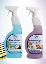 Glasreiniger Set 