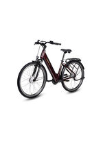 E-bike Comfort Plus 5.0 van Saxonette 