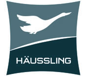 Haeussling_HH_2009H_B_detail