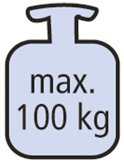Logo_max.100kg